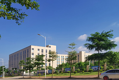 Company Profile